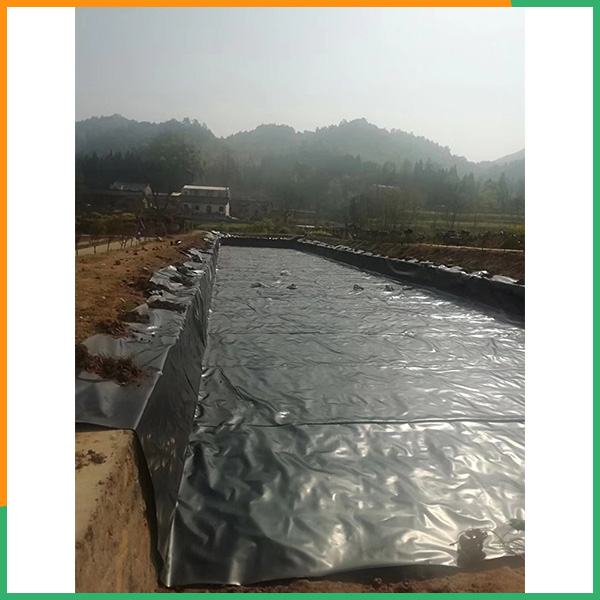 商丘防渗膜厚度可定制-CA88-沉淀池防渗膜厚度可定制